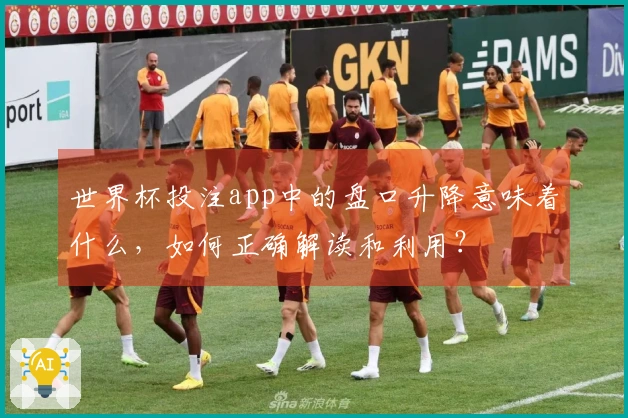 世界杯投注app中的盘口升降意味着什么，如何正确解读和利用？