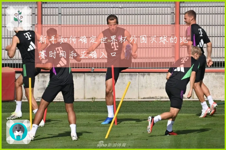 新手如何确定世界杯外围买球的比赛时间和正确入口