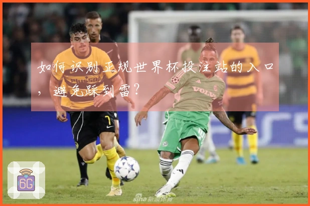 如何识别正规世界杯投注站的入口，避免踩到雷？