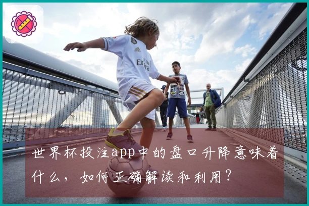 世界杯投注app中的盘口升降意味着什么，如何正确解读和利用？