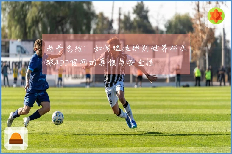 老手总结：如何理性辨别世界杯买球app官网的真假与安全性